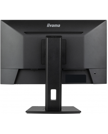 iiyama Monitor 24 cale XUB2493HSU-B7,IPS.HDMI.DP.2x2W.USBx2,300cd