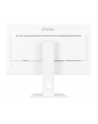 iiyama Monitor 27 '' XUB2797QSN-W2 IPS,QHD,USB-c Dock,HDMI,DP,PD-65W,2x2W, 4xUSB(3.2),300cd/m2,80M:1,sRGB:99%/5y/ - nr 46