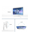 philips Monitor 31.5 cala 32M2C5501 Curved VA 180Hz HDMIx2 DP HAS Ambiglow - nr 20
