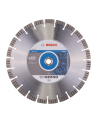 bosch powertools Bosch diamond cutting disc Best for Stone, 350mm (bore 20 / 25.4mm) - nr 2