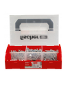 fischer FixTainer SX Plus dowel and screw box (light grey, 212 pieces, with screws and hooks) - nr 8