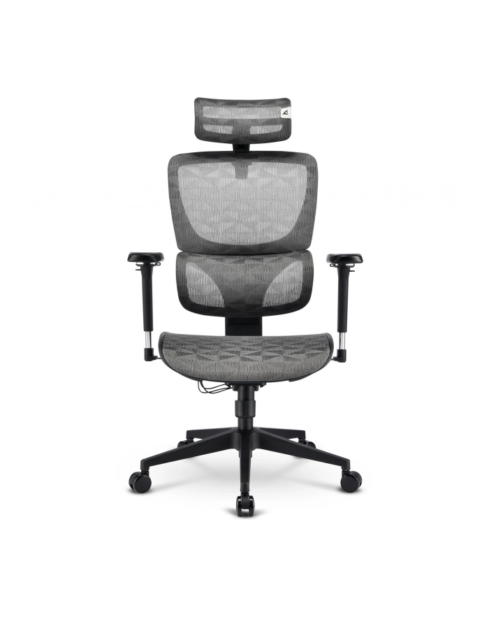 Sharkoon office chair OfficePal C40M (grey) główny