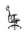 Sharkoon office chair OfficePal C40M (grey) - nr 9