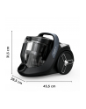 Rowenta Green Force Cyclonic Effitech RO7C36, canister vacuum cleaner (black/grey) - nr 22