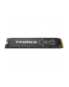 Team Group T-FORCE G70 Pro 4 TB, SSD (PCIe 4.0 x4 | M.2 2280 | Graphene Heatsink) - nr 7
