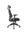 Sharkoon office chair OfficePal C20 (black) - nr 8