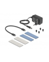 DeLOCK External USB 20 Gbps Enclosure for 2 x M.2 NVMe PCIe SSD, Drive Enclosure (Gray, Bootable, Plug ' Play) - nr 22