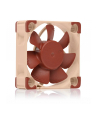 Noctua NF-A4x10 24V PWM, case fan (brown/beige) - nr 5