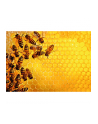 Ravensburger Puzzle Challenge Bees (1000 pieces) - nr 2