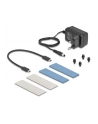 DeLOCK External USB 20 Gbps Enclosure for 2 x M.2 NVMe PCIe SSD, Drive Enclosure (Gray, Bootable, Plug ' Play) - nr 10