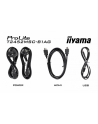 iiyama Monitor 24 cale T2452MSC-B1AG 10 PKT. POJ,IPS,HDMI,DP,2x1W,7H,2xUSB,  400cd/m2,AG-(Anti Glare) - nr 14