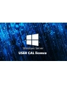 fujitsu technology solutions FUJITSU WINSVR CAL 2025 1User - nr 1