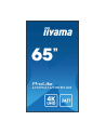 iiyama Monitor 65 '' LH6541UHS-B1AG VA,4K,24/7,LAN,USB,HDMI,500cd/m2,     Haze(25%),2x10W,Pion/Poziom - nr 22