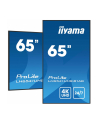 iiyama Monitor 65 '' LH6541UHS-B1AG VA,4K,24/7,LAN,USB,HDMI,500cd/m2,     Haze(25%),2x10W,Pion/Poziom - nr 36