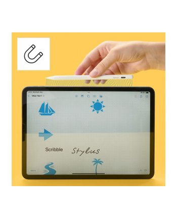 Hama Scribble Active Stylus do Apple iPad biały (125115) nr 1