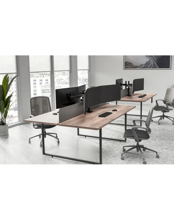 neomounts Ramię do monitora DS60-600BL3 główny