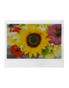 Fujifilm Instax Wide Evo - nr 13