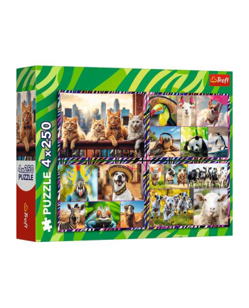 Puzzle 4x250el Zabwne zwierzaki 13313 Trefl nr 2