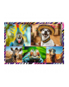 Puzzle 4x250el Zabwne zwierzaki 13313 Trefl - nr 3