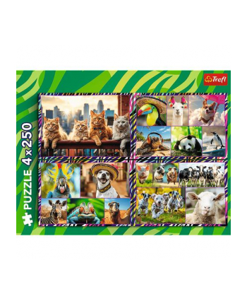 Puzzle 4x250el Zabwne zwierzaki 13313 Trefl nr 1