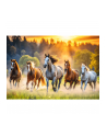 Puzzle 1500el Dzikie konie 26215 Trefl - nr 2