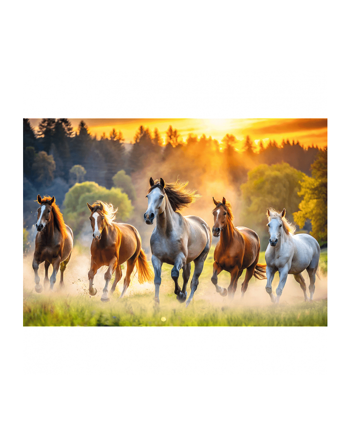 Puzzle 1500el Dzikie konie 26215 Trefl główny