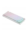 savio Klawiatura mechaniczna bezprzewodowa PHENIX WHITE Gateron Yellow, ABS - nr 4