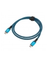 lanberg Kabel USB-C M/M USB4 1M 240W 8K 60HZ czarno-niebieski - nr 2