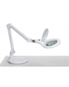 Maul Lampka Biurkowa Led Lupenleuchte Makro Mit Standfuß Weiß (8263602) - nr 3