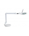 Maul Lampka Biurkowa Led Lupenleuchte Makro Mit Standfuß Weiß (8263602) - nr 6