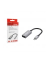 Equip Adapter AV Adapter USB-C -> DisplayPort 1.4 8K60Hz 0.15m gr (133493) - nr 12