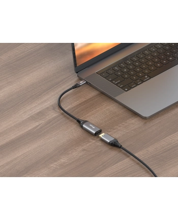 Equip Adapter AV Adapter USB-C -> DisplayPort 1.4 8K60Hz 0.15m gr (133493)