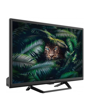 Telewizor LCD Strong  24HE4023C 24 cali HD