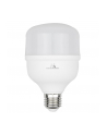 Żarówka LED Maclean MCE304 CW E27, 48W, 220-240V AC, zimna biała, 6500K, 5040lm - nr 1