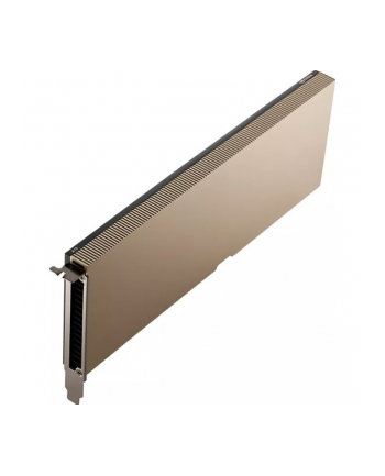 24 GB NVIDIA A10 GPU-Rechenprozessor GDDR6 passiv