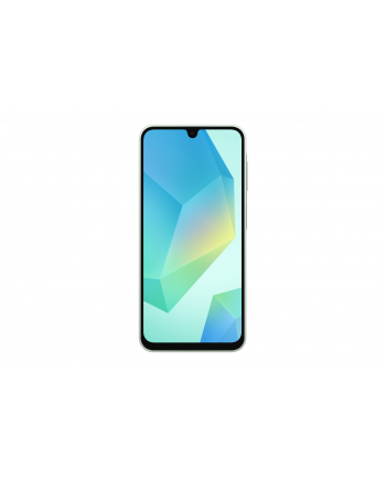 Samsung Galaxy A16 (A165) DS 8/256GB Green