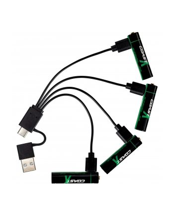 1x4 Coast Zithion-X Micro AAA Akku USB-C Port