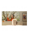 hewlett packard HP CC180W Set mit Leinwand - nr 10