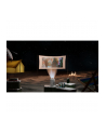 hewlett packard HP CC180W Set mit Leinwand - nr 20