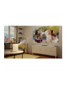 hewlett packard HP CC180W Set mit Leinwand - nr 6