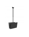 Neomounts CL35-340BL22 42'' - nr 14