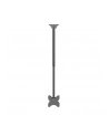 Neomounts CL35-340BL22 42'' - nr 8