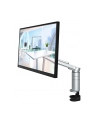 EIZO 24'' Flexscan (UMLEIEVFLTBK) - nr 21