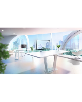 EIZO 24'' Flexscan (UMLEIEVFLTBK)