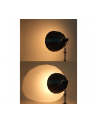 Nanlite SB-RP120 Parabol-Softbox Rapid 120 - nr 18