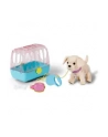 Zapf Creation Baby Born Interaktywny Piesek Lucky W Transporterku + Akcesoria 835869 - nr 1