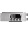 Nvidia RTX 2000 Ada Generation 16GB GDDR6 (900-5G192-2240-000) - nr 4