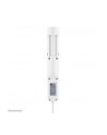 neomounts Listwa biurkowa DS22-840WH6 230/USB/USB-C biała - nr 64