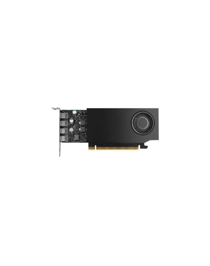 Nvidia Quadro RTX A1000 8GB GDDR6 (900-5G172-2280-000) główny