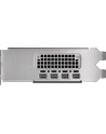 Nvidia RTX 2000 Ada Generation 16GB GDDR6 (900-5G192-2240-000) - nr 2